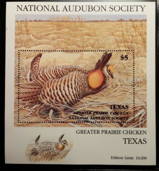 1985 National Audubon Society Texas Birds Mnh Vf