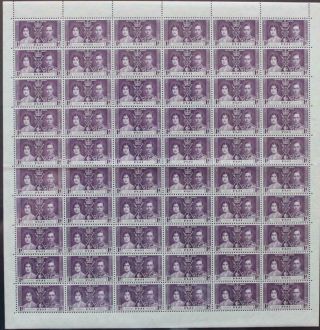 Fiji: 1937 Full 10 X 6 Sheet 1d Coronation Examples - Full Margins (25529)