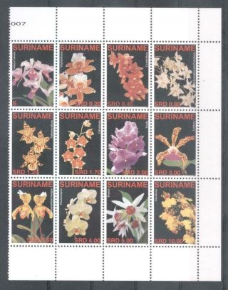 (856164) Flowers,  Orchids,  Suriname