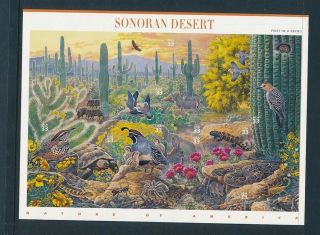 D000926 Sonoran Desert Wild Animals Flowers Nature S/s Mnh Usa Face Value 3.  3 $