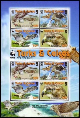 Turks And Caicos Birds Wwf Red - Tailed Hawk Sheetlet Of 2 Sets Mnh Sg Ms1974
