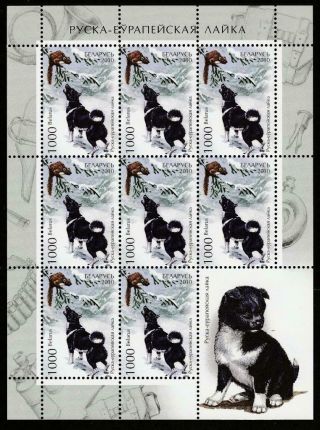Belarus 2010 Fauna Dogs Mi.  839 Mnh Sheet,  Cv 8 Euro