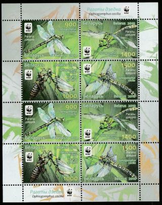 Belarus 2010 Fauna Dragonflies Wwf Mi.  824 - 27 Mnh Sheet,  Cv 10 Euro