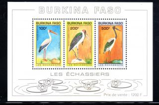 Burkina Faso 1993 Birds 3v Ms Mnh.  Start At Us$2.  50