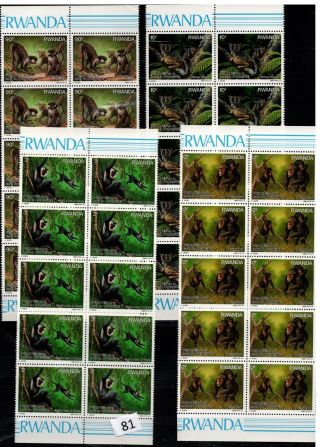 // 10x Rwanda - Mnh - Nature - 1988 - Primates - Chimpanzee -