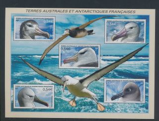 Xb68330 Taaf Albatross Animals Birds Xxl Sheet Mnh