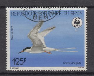 Benin 1989 Roseate Tern Bird Sc 660 Fine