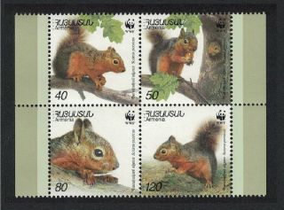 Armenia Wwf Persian Squirrel 4v In Block 2 2 Mnh Sg 484 - 487 Mi 435 - 438 Sc 632