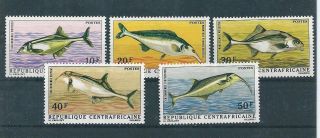 Central African Republic 1971 Mnh Fish Set See
