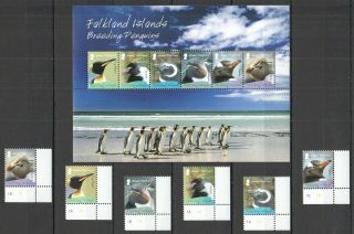 W1159 2008 Falkland Islands Breeding Penguins 1055 - 60 Michel 48 Euro Kb,  Set Mnh