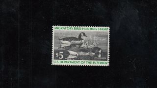 Rw43 $5 Canada Geese Nh Duck Stamp W/ Gum Dist.  Cv $10