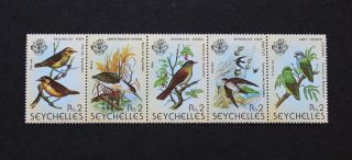 Seychelles - 1980 Scarce Birds Kestrel Set In Strip5 Rs.  2 Block Mnh Rr