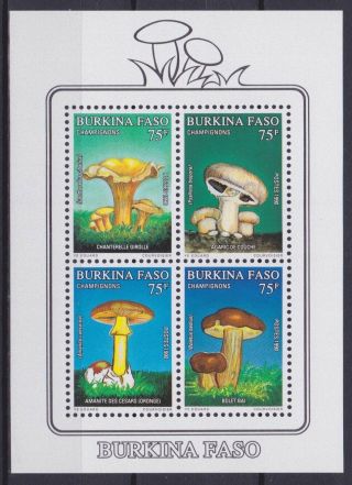 Burkina Faso Mushrooms S/s (899a) Mnh.  Scv 19.  50.