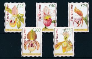 [su933] Suriname Surinam 1997 Flora Flowers Orchids Mnh
