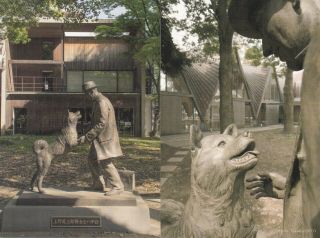 Hachiko Akita Dog Faithful Statue Unveiled Set Of 4 Postcards Japan 2015