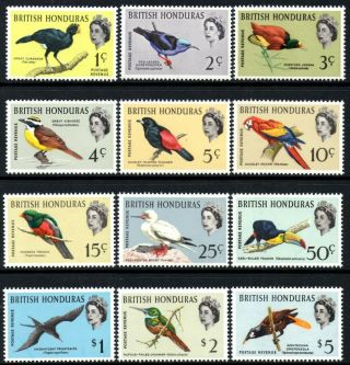 British Honduras 1962 Birds Set Of 12 Sg.  202/213 (mnh)