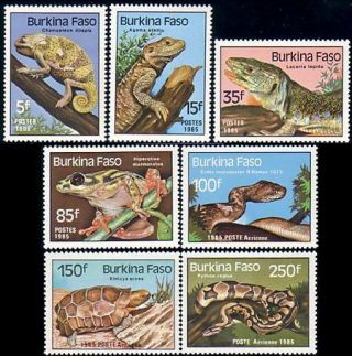 Burkina Faso Lizzard Iguana Frog Boa Python Turtle Mnh (brf - 3)