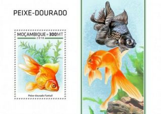 Mozambique - 2018 Goldfish On Stamps - Souvenir Sheet - Moz18528b