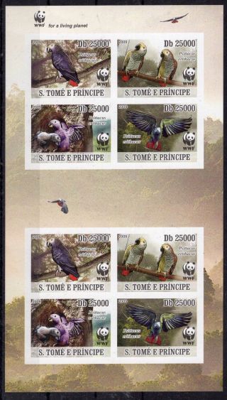 Sao Tome 2009 - Wwf.  Parrots.  Birds - Stamps - Imperf.  Mnh - F109