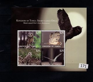 /// Tonga - Mnh - Nature - Birds - Owls - 2012