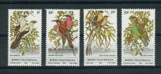 Sbi5 Birds Bophuthatswana 1980 Set Of 4v,  Mnh
