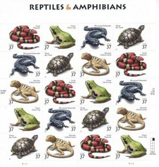 Reptiles & Amphibians 3814 - 3818 Sheet Mnh (lot S 98)