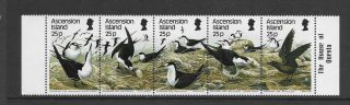 Ascension Is.  1988 Sooty Tern Strip Of 5 Never Hinged