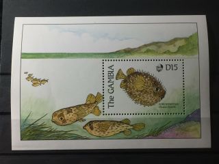 Scott 895 & 896 Gambia Stamp Sheets Mnh Fish