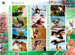 Moldova 2018,  Nature,  Birds,  Sport,  Falconry,  Sheetlet Of 12v