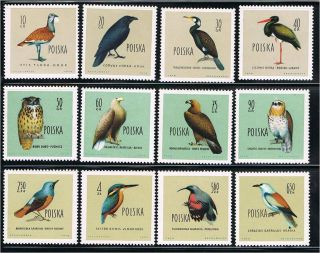 Poland (1960) - Birds (scott 935 - 46) - Mnh Vf