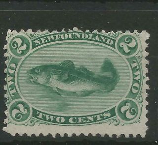 Canada - Newfoundland 1865 2 Cent Blue - Green On White Paper Sg 31