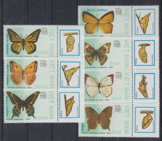 D701.  Vietnam - Mnh - Nature - Butterflies