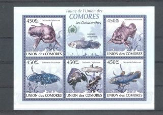 (853403) Fish,  Coelacanth,  Comoros