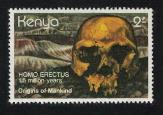 Kenya Homo Erectus 