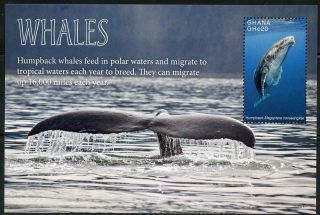 Ghana 2017 Whales Souvenir Sheet Nh