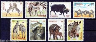 Rwanda 1984 Mnh 8v,  Zebra,  Buffalo,  Calf,  Animals (o1n)