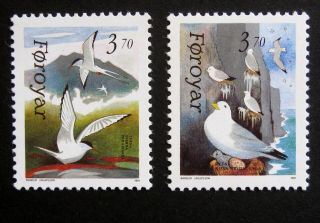 Faroe Islands 1991 Birds.  Complete Set Of 2 Stamps.  Mnh