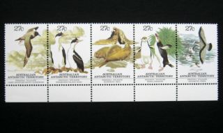 Australian Antarctic Territory 1983 Birds.  Complete Set Of 5 Stamps.  Mnh