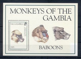 Gambia 1994 S/sheet Mnh Monkeys - Mi.  No Bl230