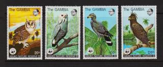 Gambia - 1978 World Wildlife Fund Set - Birds - Cat.  $ 102.  50