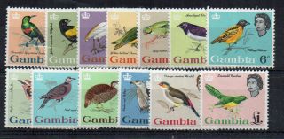 Gambia 1963 Birds Set To £1 Mnh