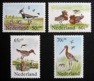 Netherlands 1984 Birds.  Full Set Of 4 Stamps.  Nh