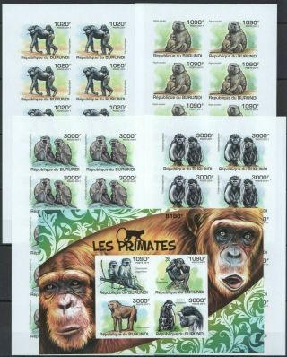 O1470 Imperforate 2011 Burundi Fauna Animals Monkeys Primates Kb,  10set Mnh