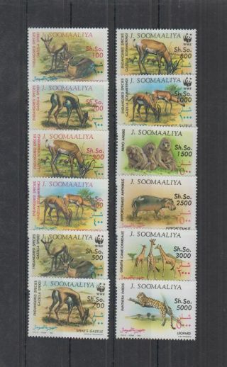 D277.  Somalia - Mnh - Nature - Animals - Wwf