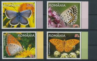 Gx01855 Romania Insects Bugs Flora Butterflies Edges Mnh