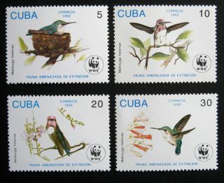 1cuba 1992 Birds.  Full Set Of 4 Stamps.  Nh