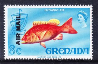 Grenada 1972 Sg502a 8c Overprinted Air Mail Double - Unmounted.  Cat £50