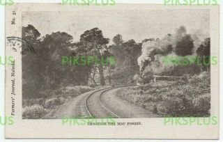 Old Postcard Narrow Gauge Railway Mau Forest B.  E.  A Stamp & Mombasa Postmark 1904