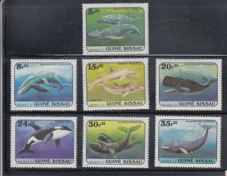 Guinea Bissau 1984 Dolphins And Whales Sc 597 - 603 Never Hinged
