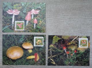 Liechtenstein 2000 Mushrooms - Complete Set Maximum Cards /cp801